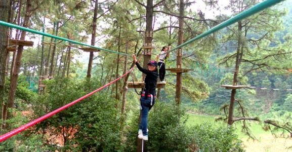 飛越叢林探險樂園